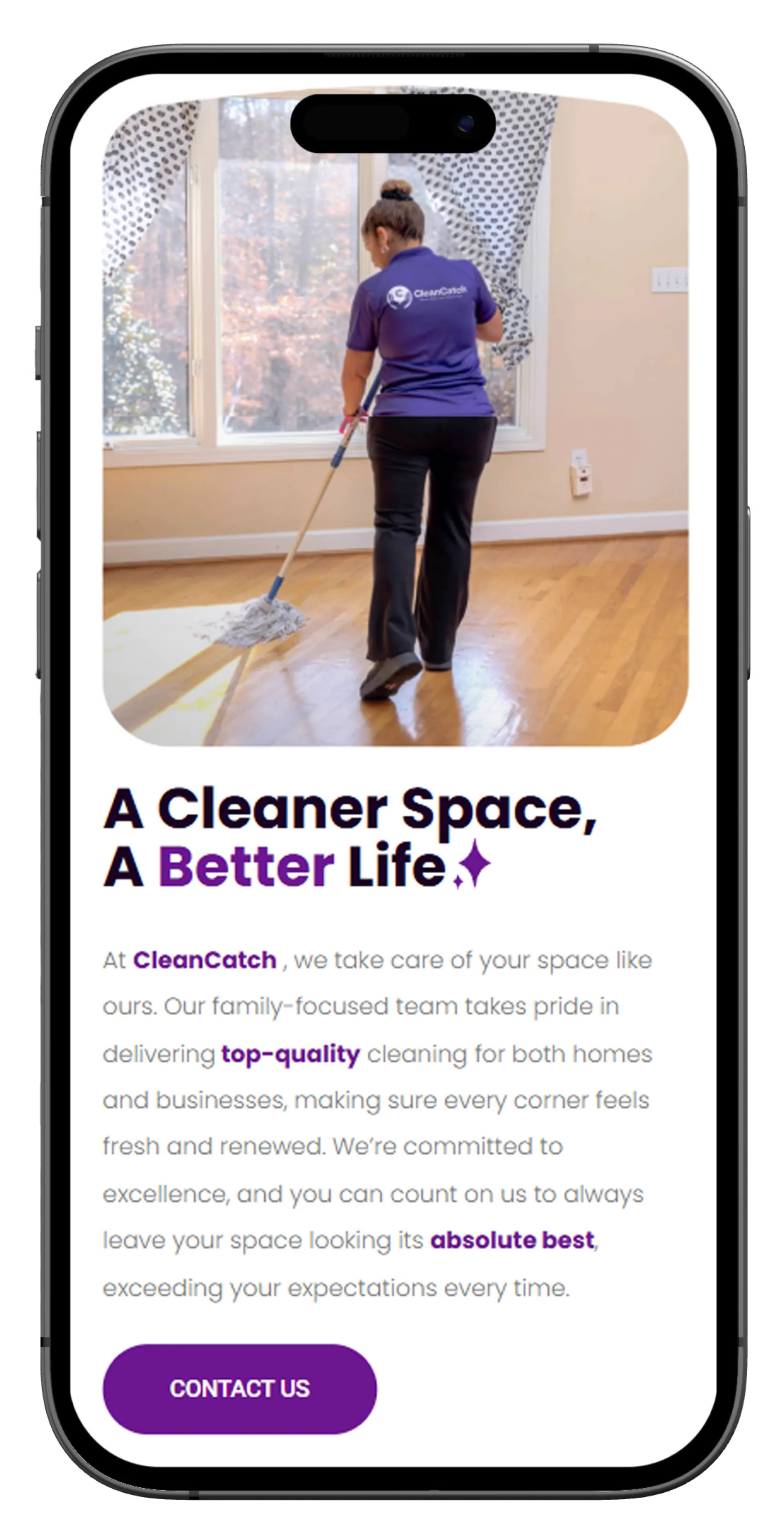Clean Catch, project image 3